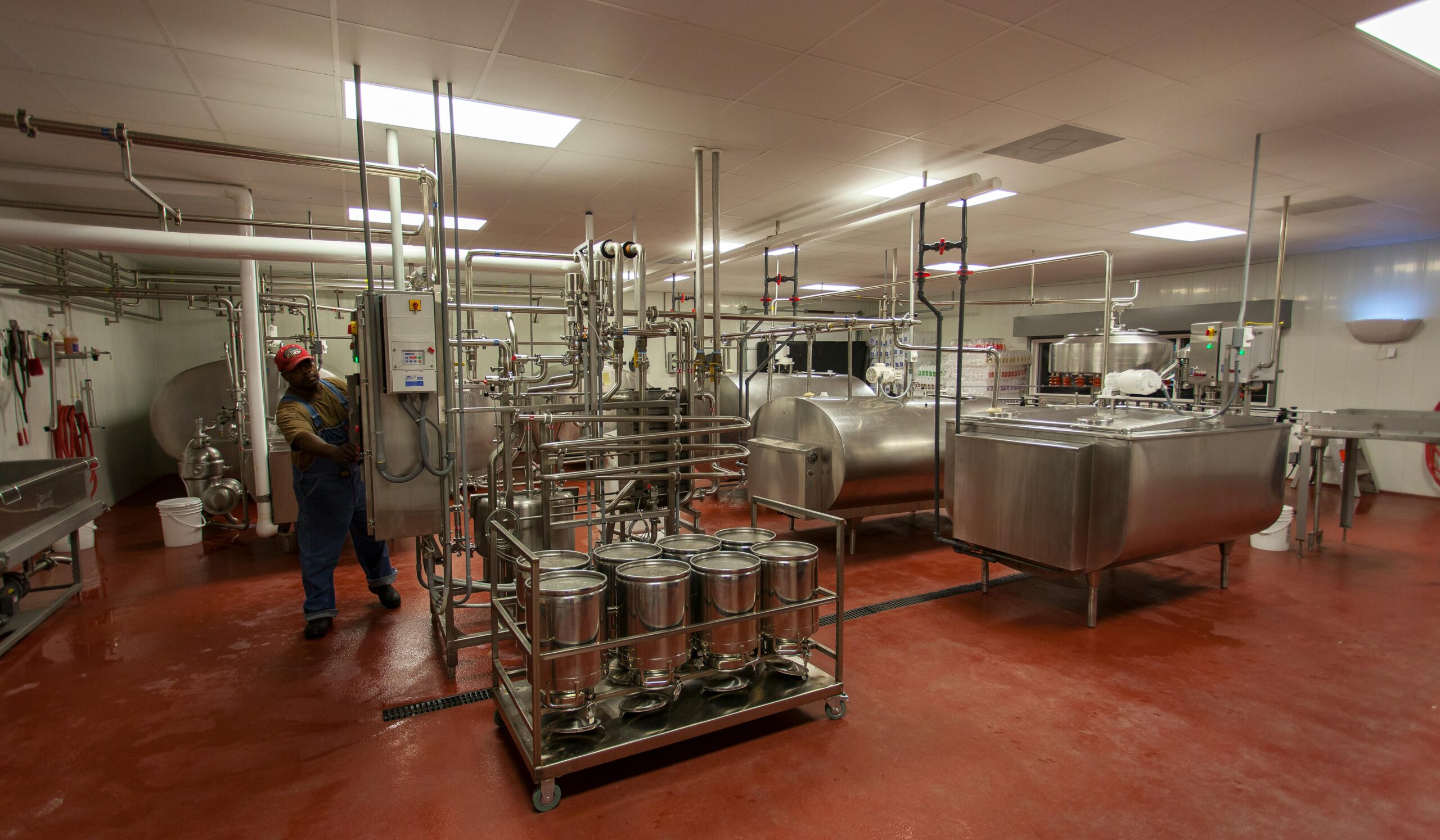 pexels-photo-2889347